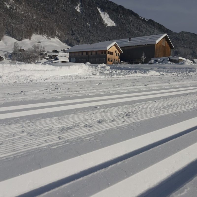 Langlauf-Loipe direkt am Hof vorbei