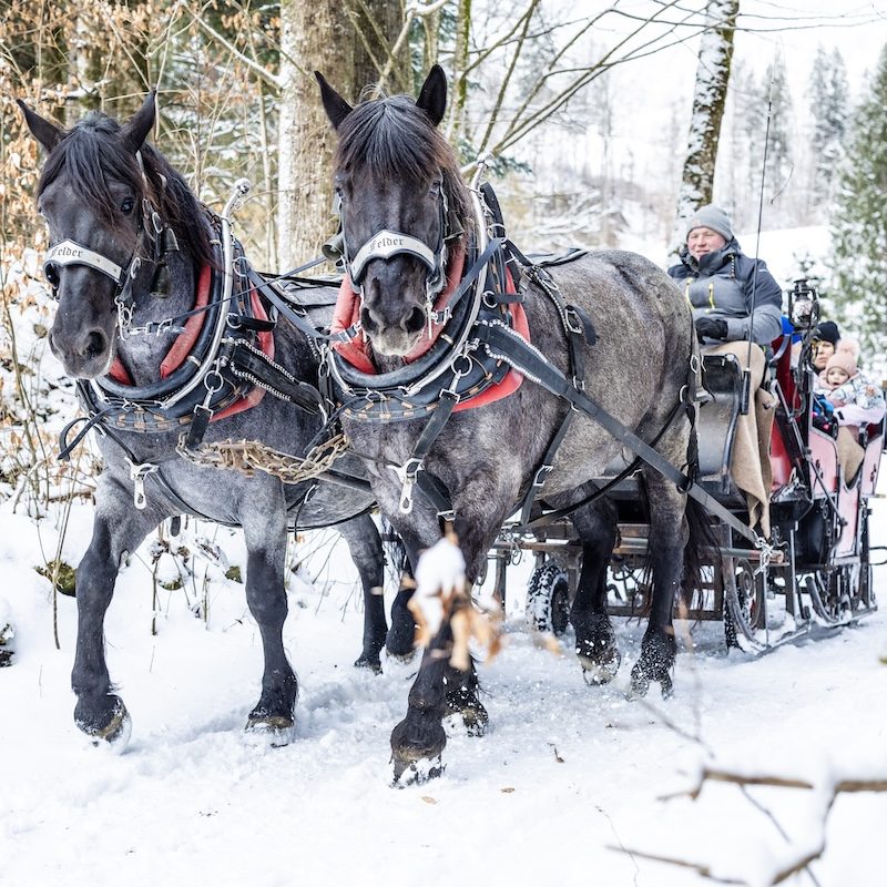 Winterliche Kutschfahrt